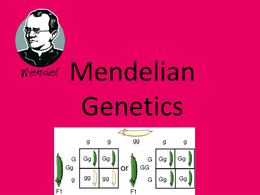 Mendelian Genetics: Genes, probability (Just standard Genetics) with practice
