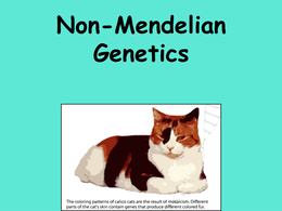 NonMendelian Genetics: Disorders, types, exceptions to standard genetics with practice