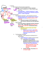 Biology - Cellular Respiration