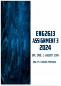 ENG2613 Assignment 3 2024 &vert; Due 5 August 2024