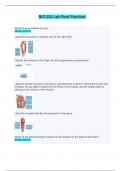 BIO 232 Lab Final Practical Exam &lpar;with pictures&rpar; - Questions with complete solutions   
