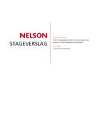 Stageverslag Schoenenwinkel [NELSON]