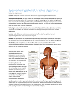 Samenvatting Spijsverteringsstelsel H16 Anatomie en Fysiologie Martini