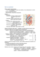 Fysiologie hart- en vaatstelsel