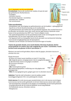 Mondzorgkunde leerjaar 1; parodontologie periode 2