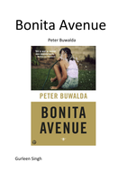Bonita Avenue boekverslag 