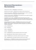 Behavioral Neuroscience - Neuroanatomy&period;Questions and answers graded A&plus;