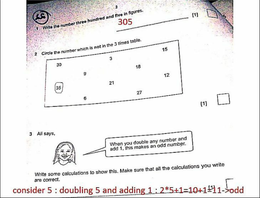 solved oct/nov 2010 primary checkpoint maths paper with detailed explanations