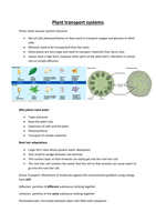 Plant transport systems
