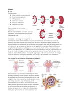Biomedische Wetenschappen Orgaansystemen: Nieren