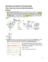 MEG, EEG, oscillations and sources