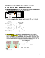 EEG and ERP as dependent variables 