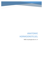 Anatomie hormoonstelsel