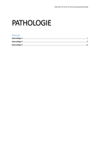 Uitwerking pathologie 3.3