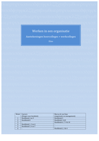 Werken in een organisatie (aantekeningen hoorcolleges werkcolleges)