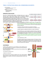 Tema 2 - Estructura básica del cromosoma eucariota - Bases celulares de la Genética Humana