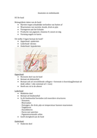 Anatomie en Ziektekunde H3-H7