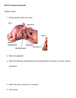 Bio 212L Practical study guide 