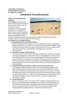 H8 Het zandlandschap - Landschappen van Nederland