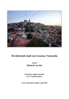 Paper 'De informele stad van Caracas'