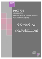 ASSIGNMENT 1  - STAGES OF COUNSELLING