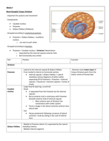 Neurology block notes 