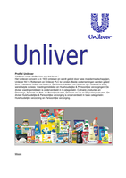 Werkstuk onderneming Unilever