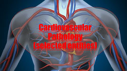 Cardiovascular Pathology