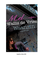 Boekverslag Mell Wallis de Vries - Waanzin