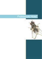 Problemski Hotel - Dimitri Verhulst boekverslag