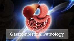 Gastrointestinal Pathology
