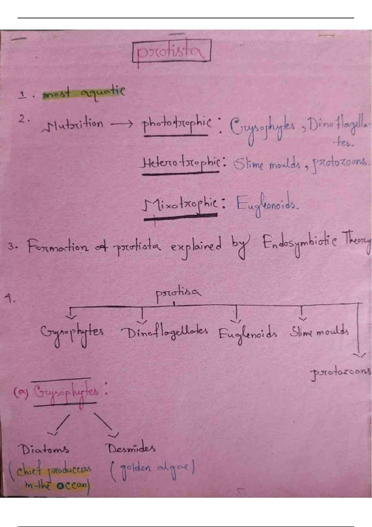 Neet preparation notes - Biology - Stuvia US