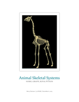 Animal Skeletal Systems