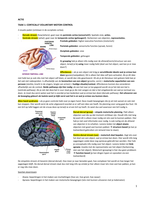 cortical voluntary motor control