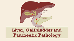 Liver&comma; Gallbladder and Pancreatic Pathology