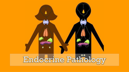 Endocrine Pathology