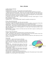Neuropsychological Disorders Summary English