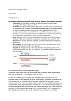 Latest Preview Thumbnail