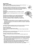 Neuroanatomie 2 Uitwerking en samenvatting colleges 1 t/m 12