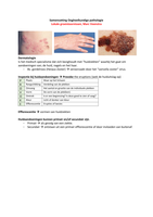 Samenvatting van het HC - Lokale groeistoornissen&comma; Marc Veenstra 