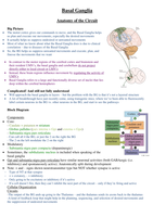 Neuroscience sensory systems and the brain