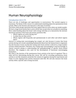 Summary Human Neurophysiology