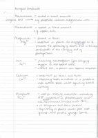1.1 Inorganic Ions  - BY1 Basic Biochemistry & Organisation - AS Level Biology