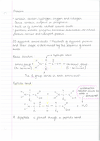 1.1 Proteins - BY1 Basic Biochemistry & Organisation - AS Level Biology