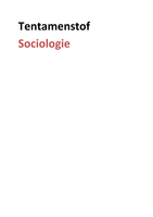 Tentamenstof sociologie H2