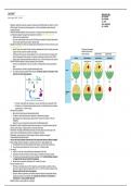 Lecture Notes - Lecture 1&comma; Developmental Biology&comma; BioD104&comma; UC Irvine