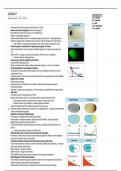 Lecture Notes - Lecture 2&comma; Developmental Biology&comma; BioD104&comma; UC Irvine