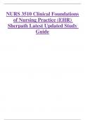 NURS 3510 Clinical Foundations  of Nursing Practice &lpar;EHR&rpar; Sherpath Latest Updated Study  Guide