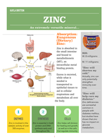 Micronutrient Fact Sheet--Zinc