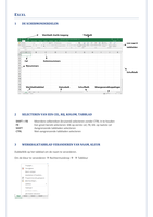 Samenvatting Microsoft Excel 